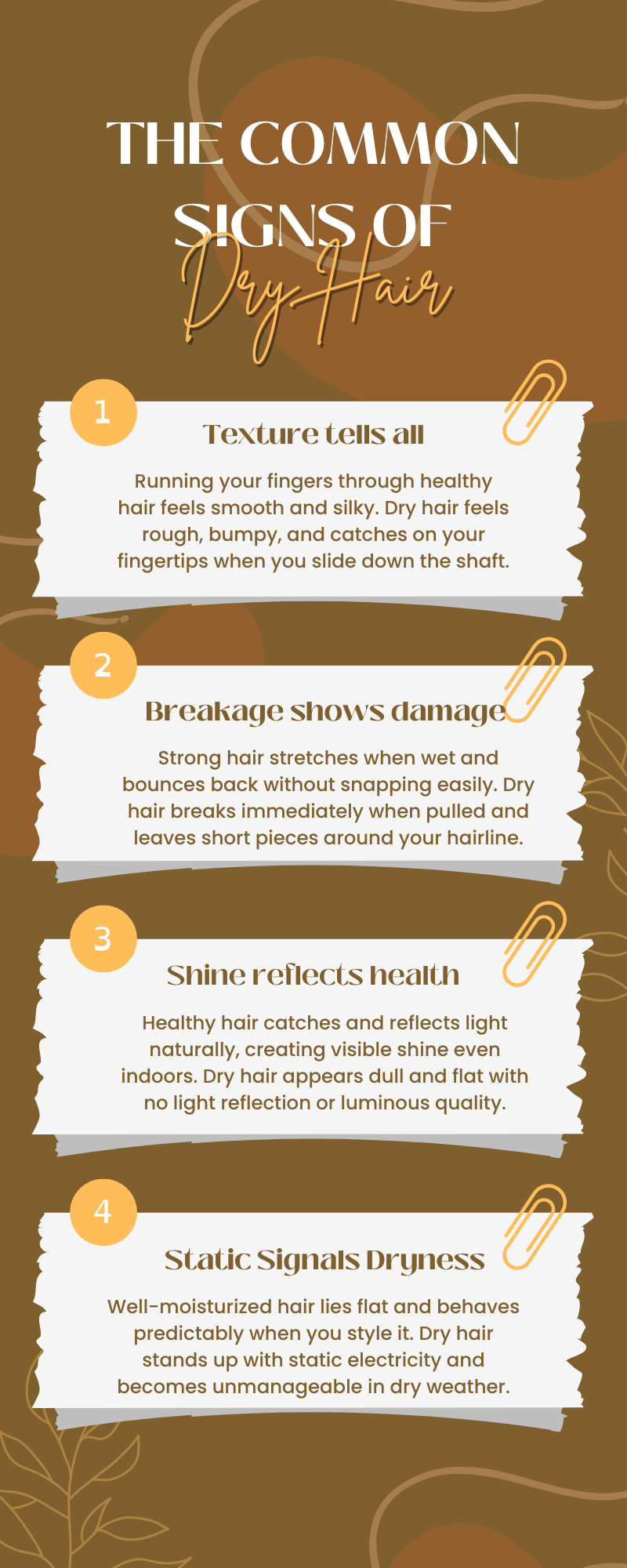infographic on signs of dry hair
