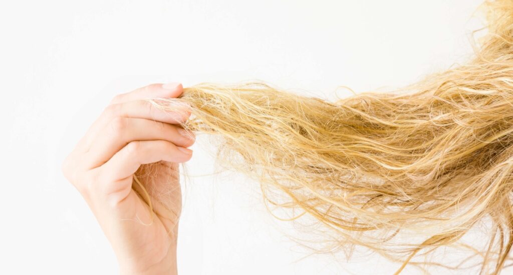 holding dry blonde hair with split ends