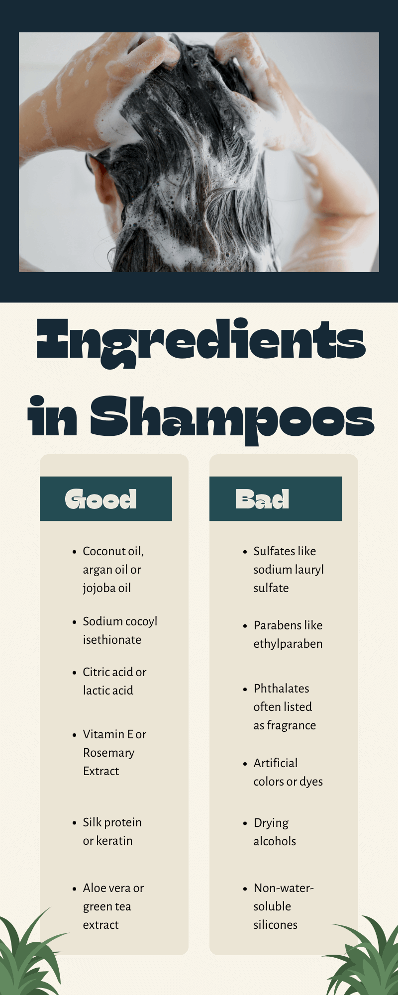 infographic on good vs. bad ingredients in shampoo