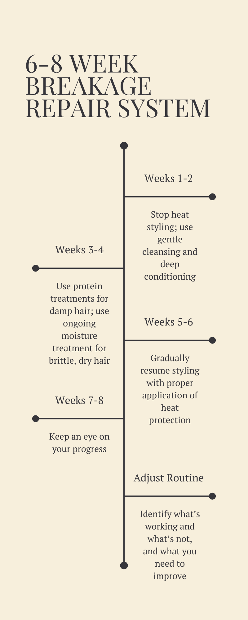 hair breakage repair infographic