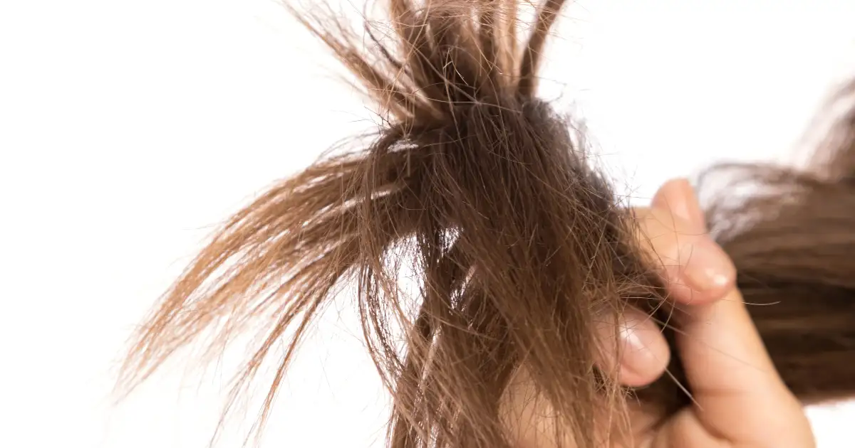 brown hair with split ends